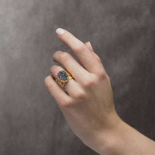 Heavens Gate Black Druzy Gold Vermeil Ring - Nina Wynn
