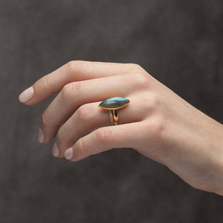 Queen's Claw Labradorite Gold Vermeil Ring - Nina Wynn