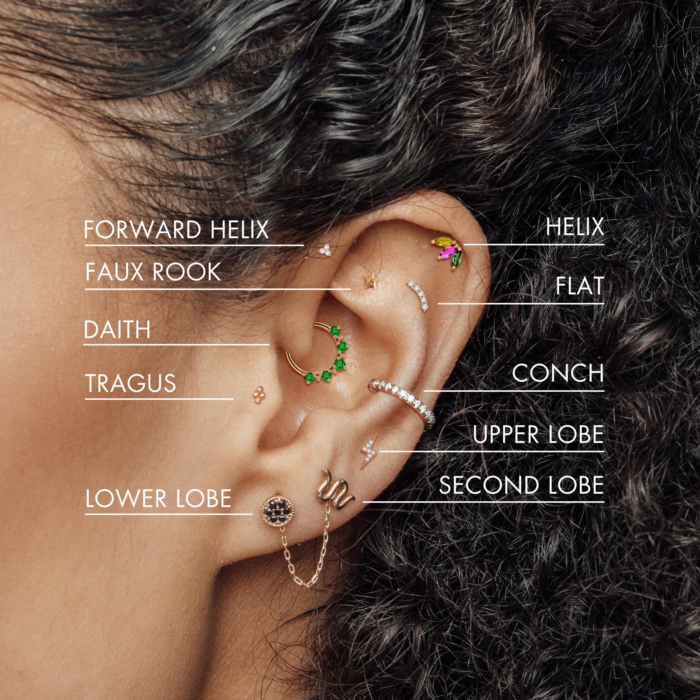Curated Ear Places On Your Ear To Get Pierced Ear Curation Course