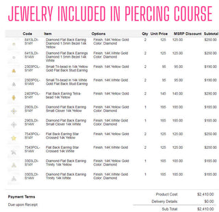 Certified Needle Ear Piercing Course Online $2,800